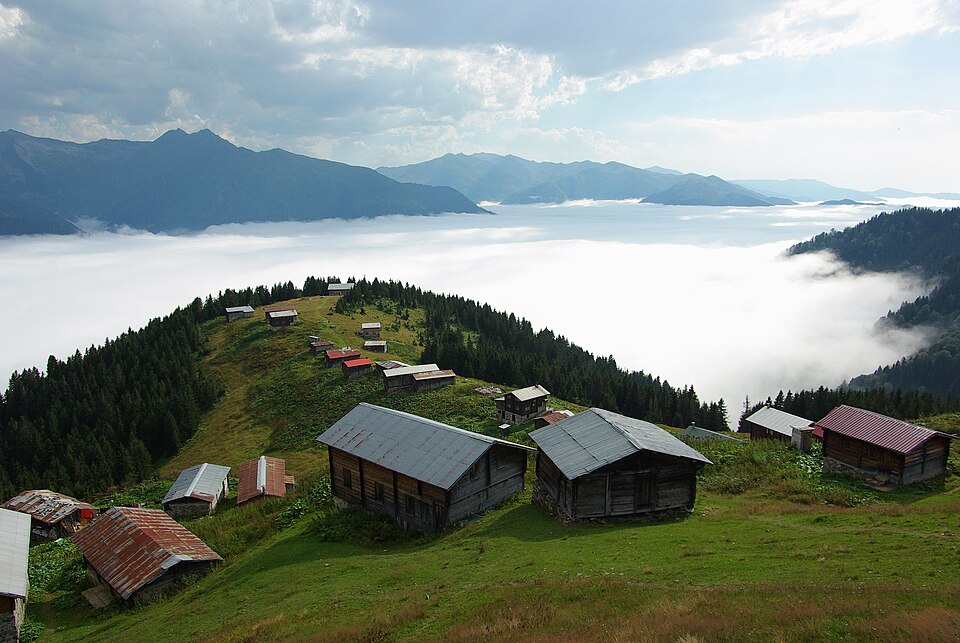 Scenic Landscape